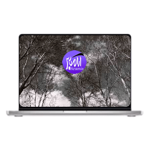 تعمیر لپ تاپ مک بوک پرو مدل MYDA2xx/A